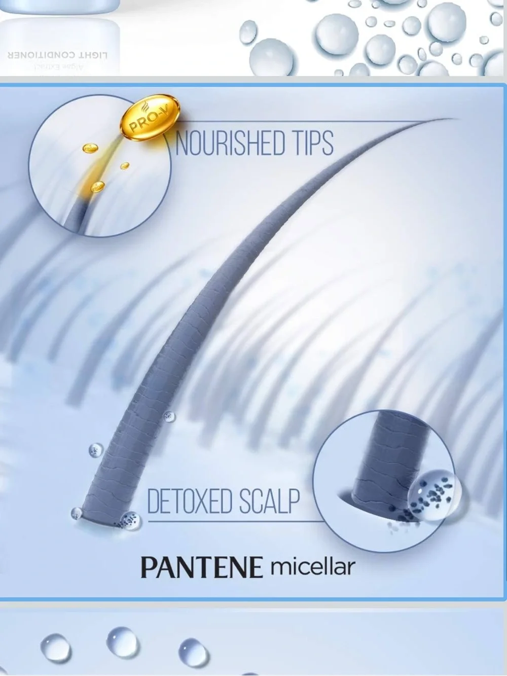 Pantene • Micellar Detox & Purify Conditioner • Made in Thailand